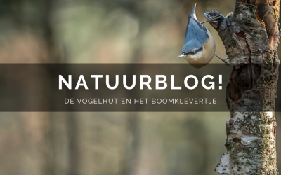 Natuurblog: De vogelhut en het boomklevertje