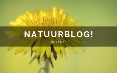 Natuurblog: De lente